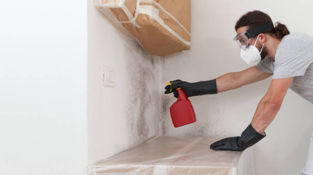 Professional Crawl Space Mold Removal technician working in Madison, NC