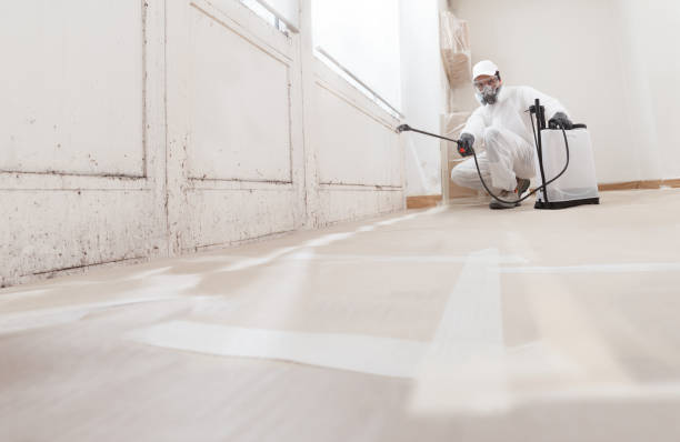 24/7 Emergency Crawl Space Mold Removal experts in Madison, NC
