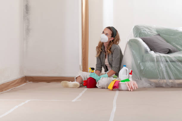 Reliable Mold Cleanup contractor in Madison, NC by Cheap Mold Removal